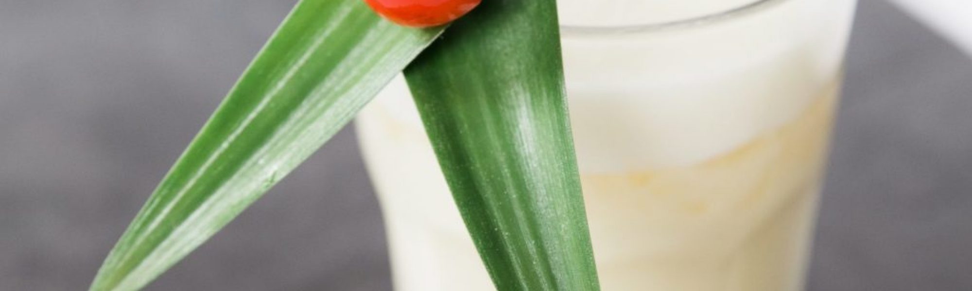 mobile cocktailbar smoothiebar kaffeebar bargastro