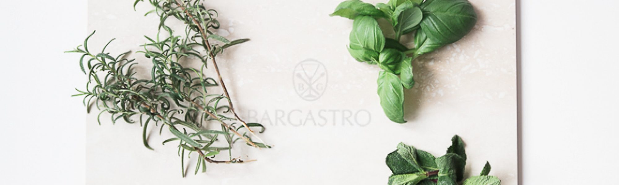 basilikum-minze-rosmarin-kraeuter-zutat-bargastro