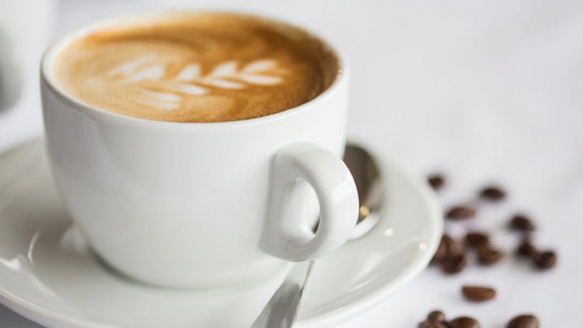 cappuccino cappuccino