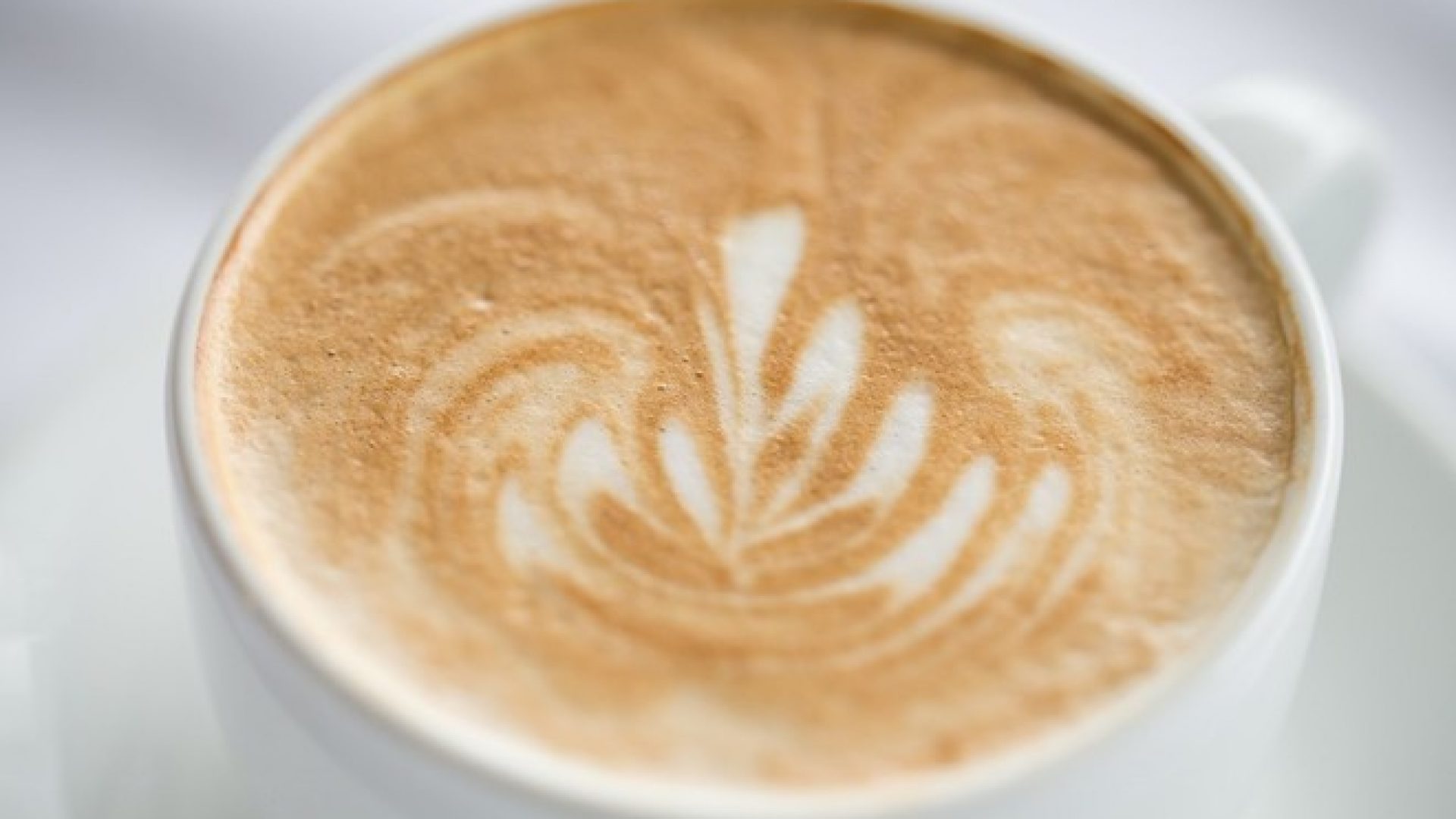kaffeebar mieten mobile kaffebar hannover
