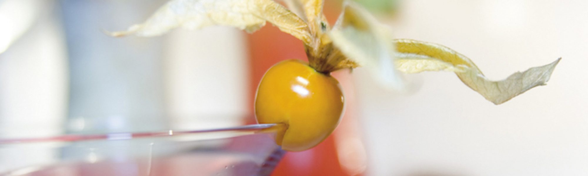 cocktail-physalis-zutat
