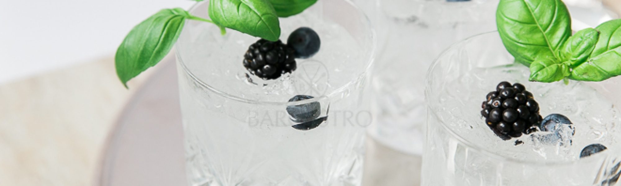 cocktails-basilikum-brombeere-tonic-bargastro