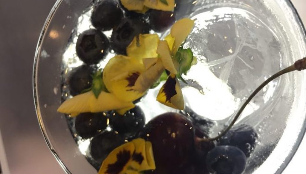 gin-cocktail-maschsee-hannover