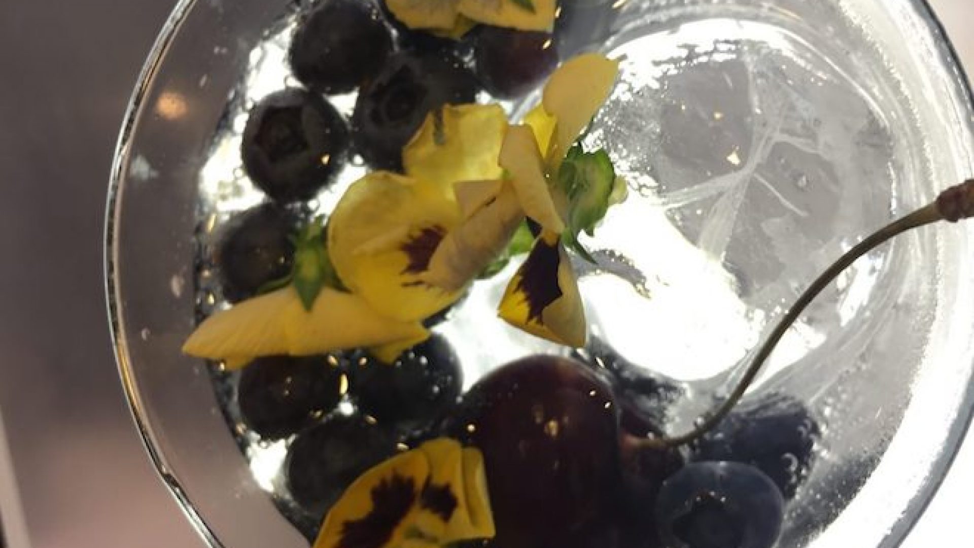gin-cocktail-maschsee-hannover gin-cocktail-maschsee-hannover