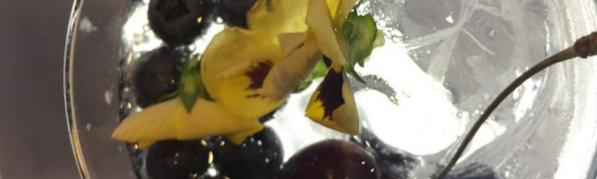 gin-cocktail-maschsee-hannover