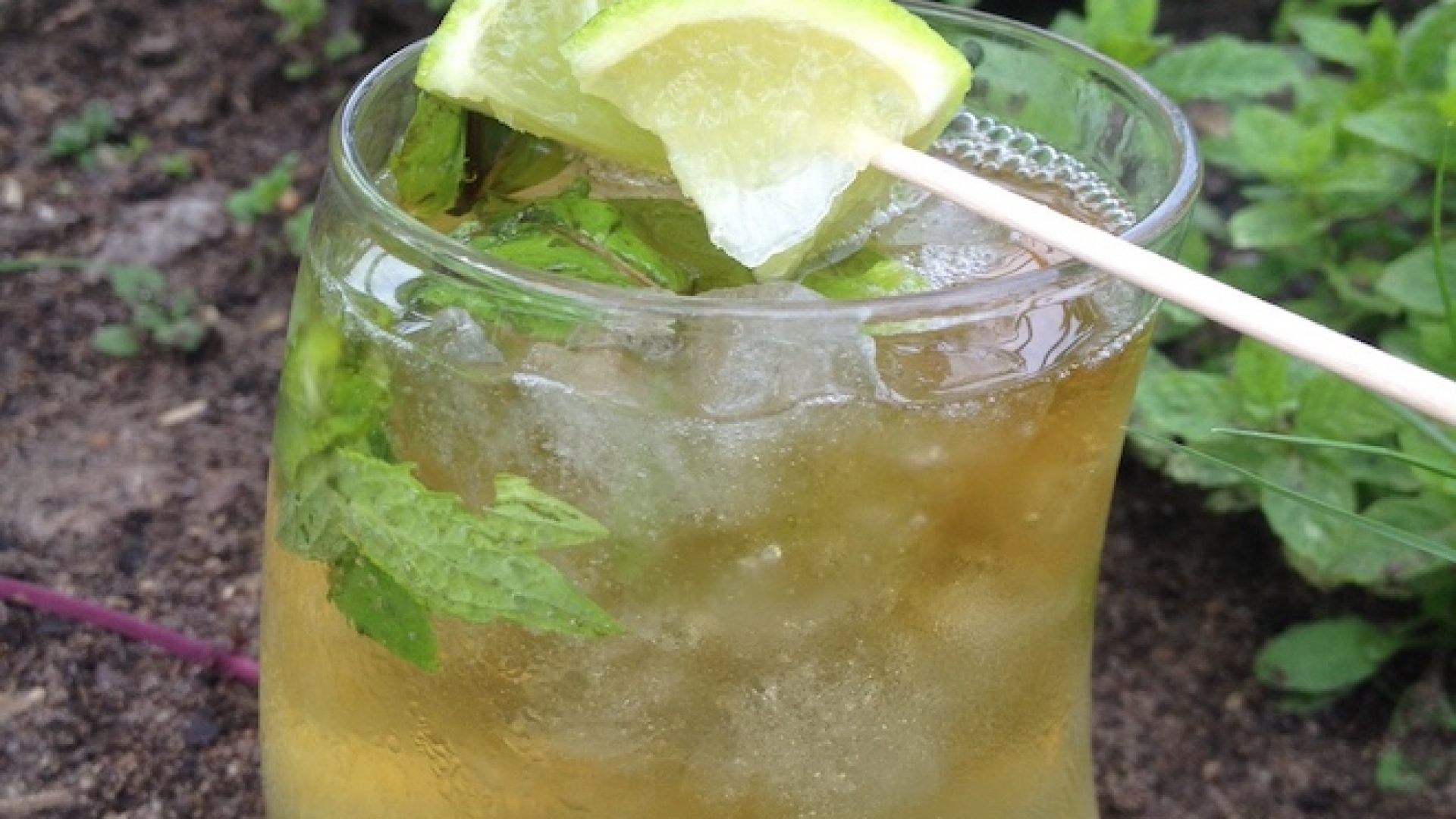 minze-sprudelwasser-soda-iced-tea