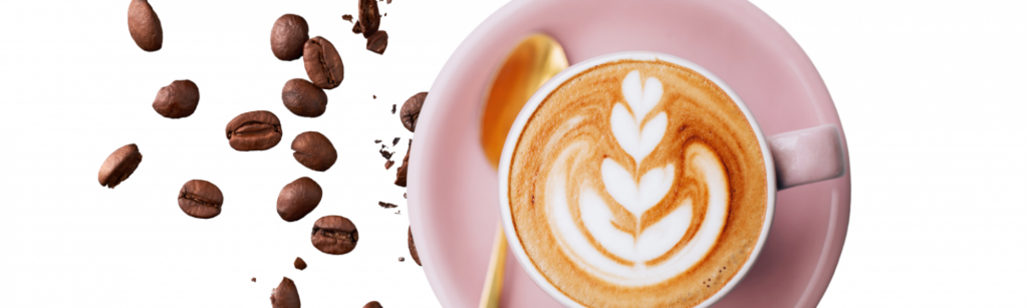 mobiles kaffeecatering buchen