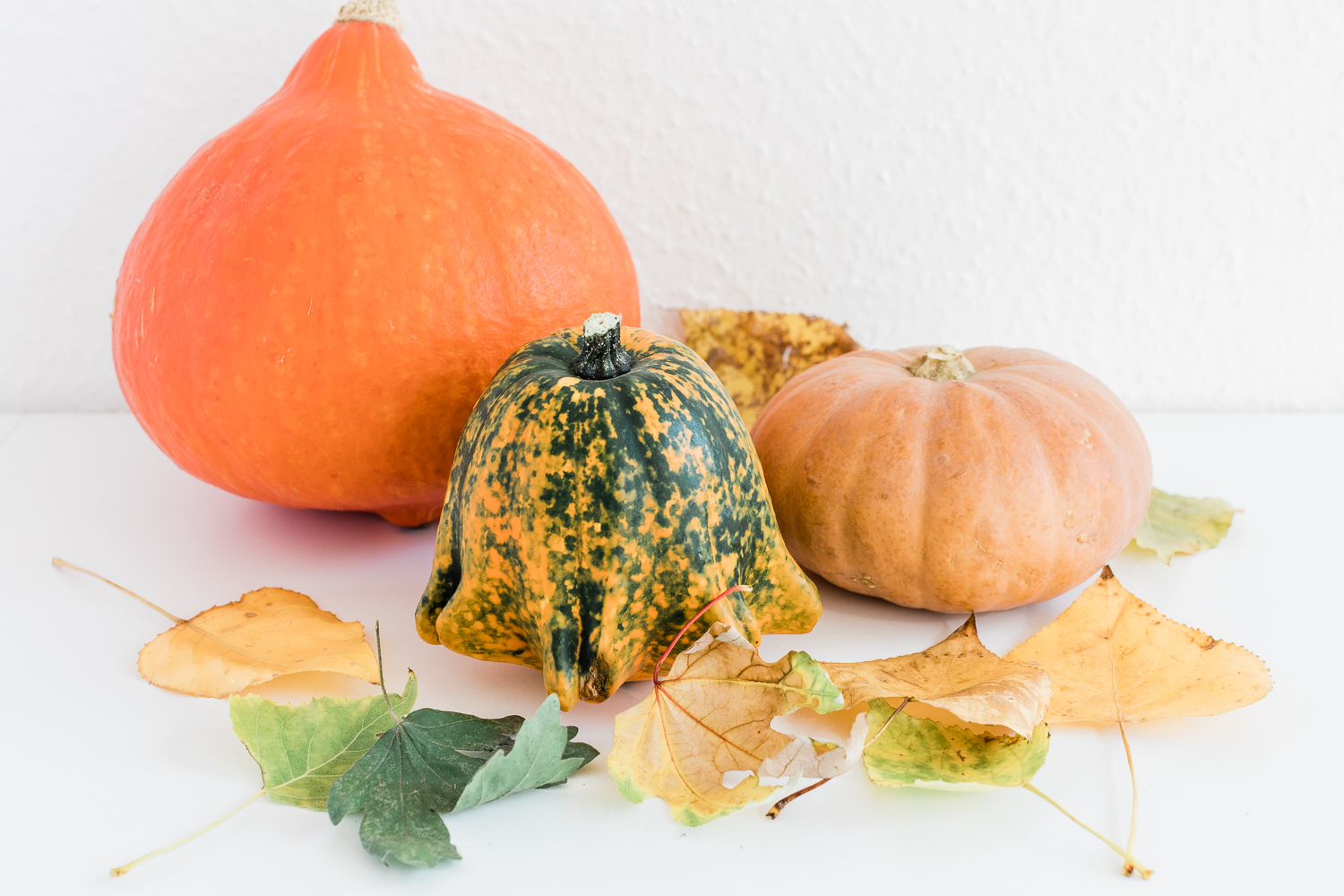 Herbstzeit messezeit