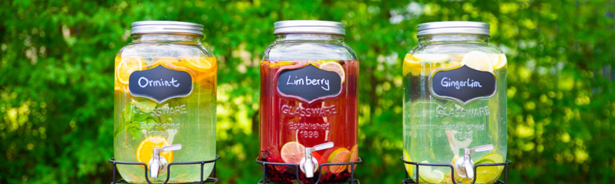 mobile smoothiebar mieten