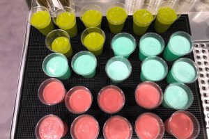 mobile vitaminbar messestand-4 smoothies am messestand