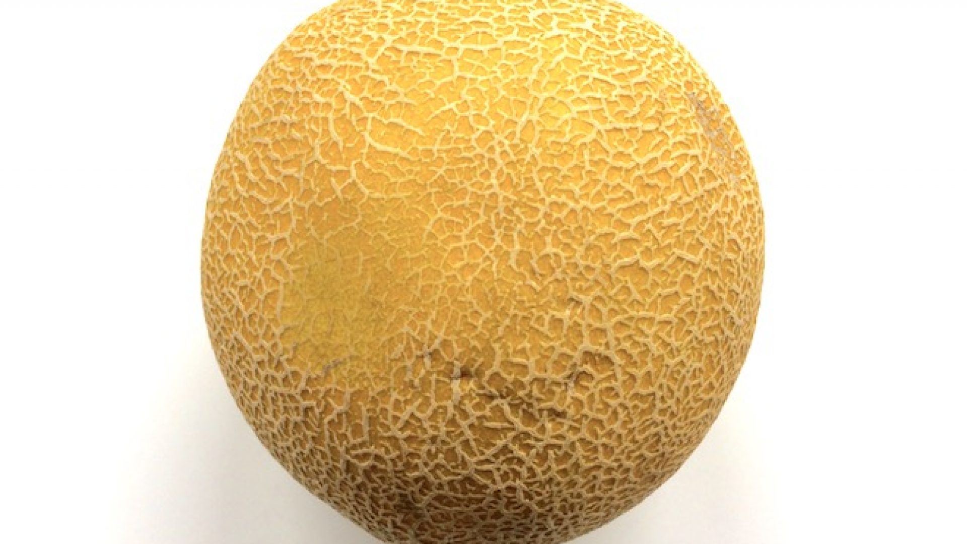 netzmelone-zutat