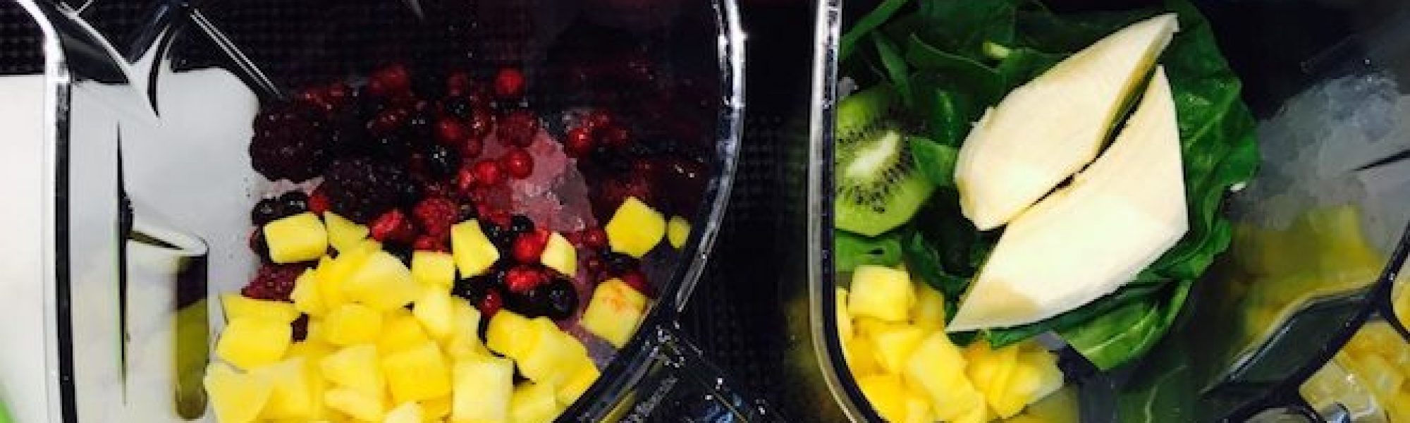 Vitamix mobile vitaminbar mieten