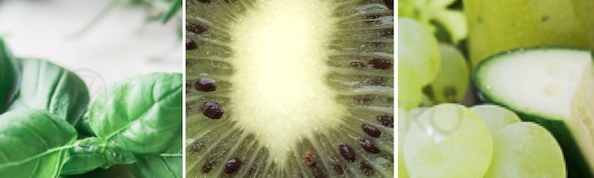 vitaminbar mieten mobil